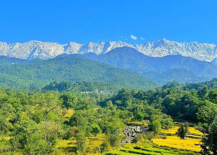 Dhauladhar Homes