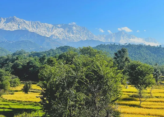 Dhauladhar Homes